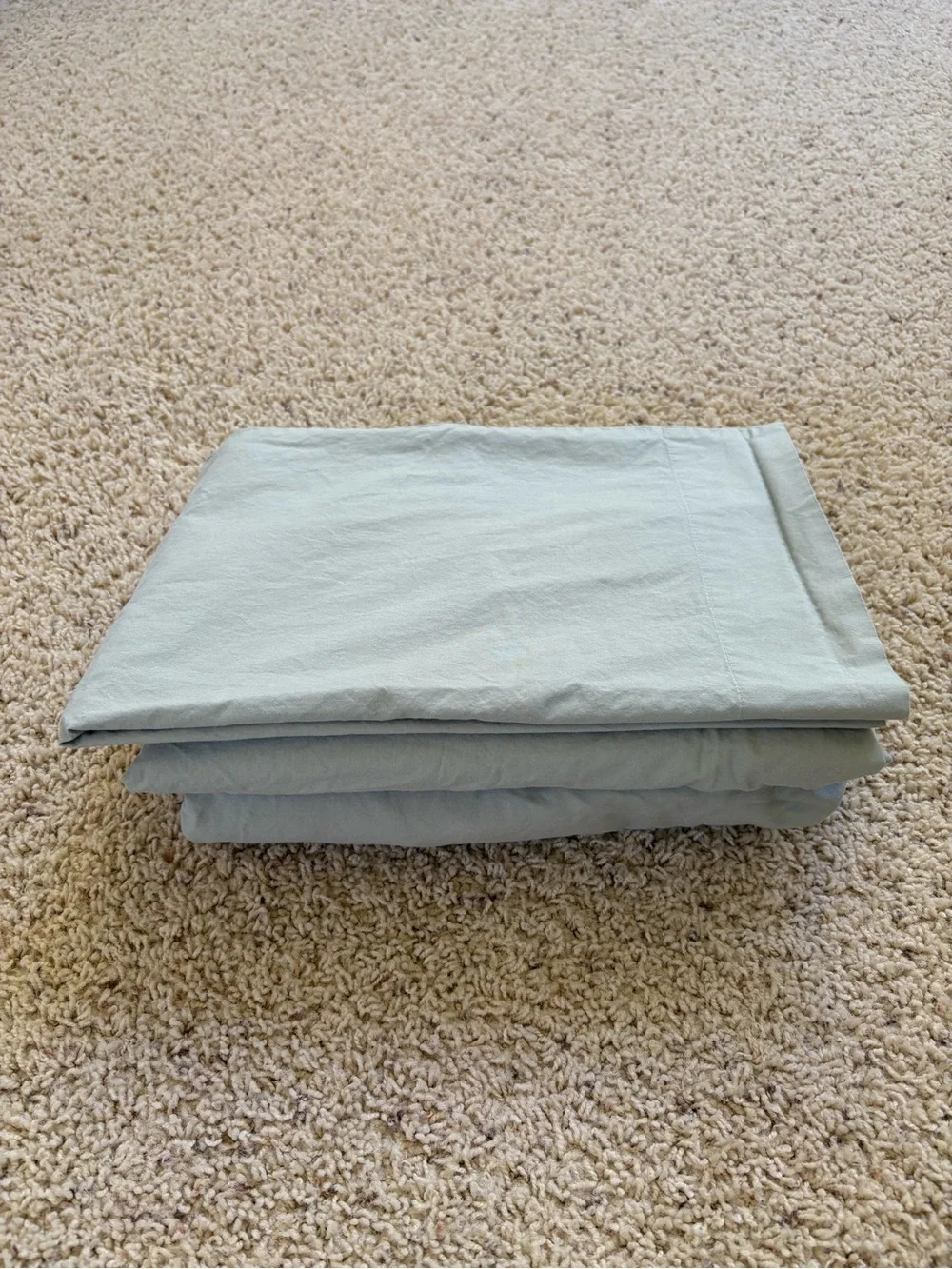 Pottery Barn Flower Duvet, Sheet  for Twin/Twin XL Bed